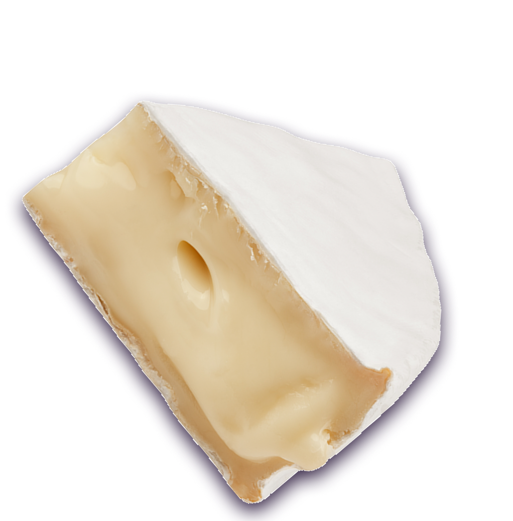 cheese-camembert-title