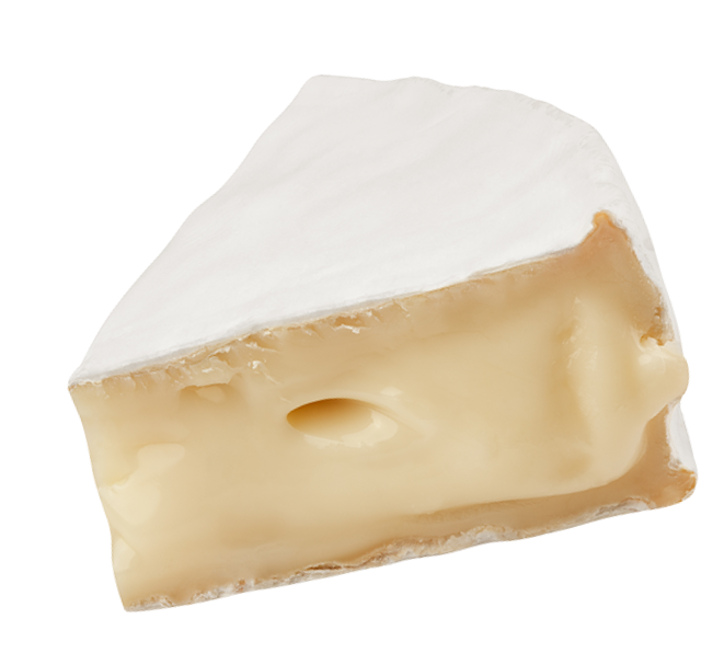 cheese-camembert1