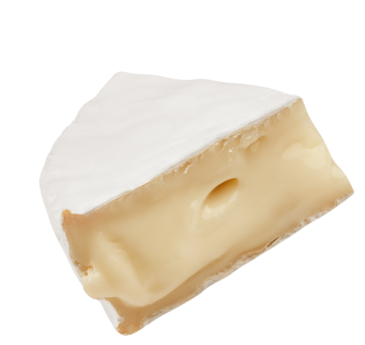 cheese-camembert2