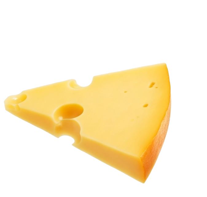 platter-image1